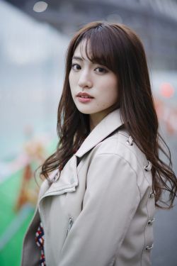 鹌鹑怎么读