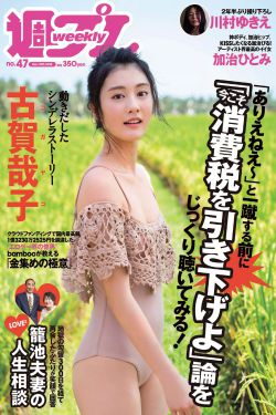 热血忠魂之独行侍卫