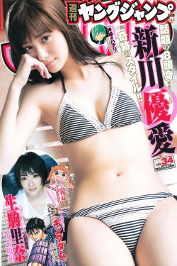 宿敌电视剧